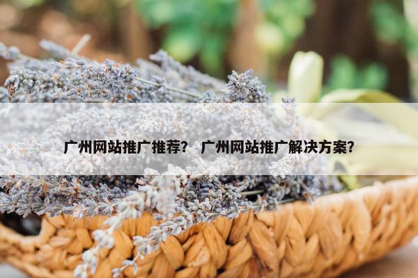 广州网站推广推荐？ 广州网站推广解决方案？