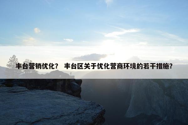 丰台营销优化？ 丰台区关于优化营商环境的若干措施？