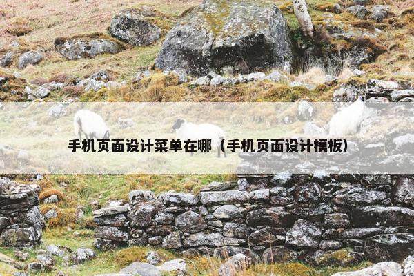 手机页面设计菜单在哪（手机页面设计模板）