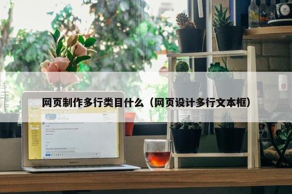 网页制作多行类目什么（网页设计多行文本框）