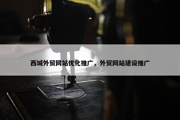 西城外贸网站优化推广，外贸网站建设推广