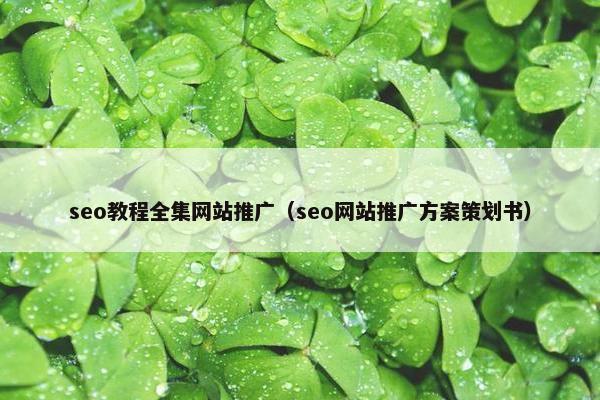 seo教程全集网站推广（seo网站推广方案策划书）