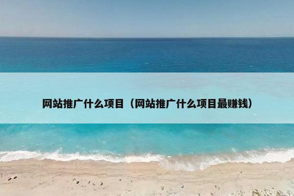 网站推广什么项目（网站推广什么项目最赚钱）