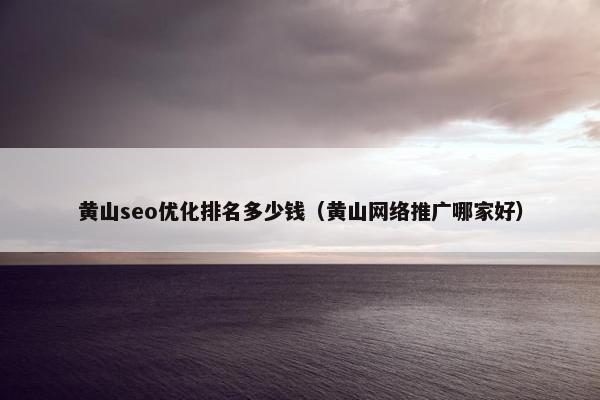 黄山seo优化排名多少钱（黄山网络推广哪家好）