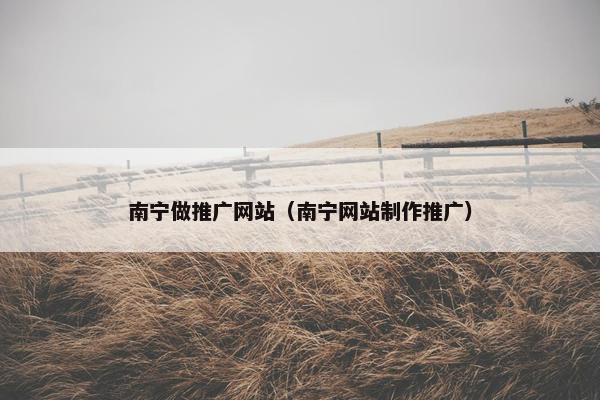 南宁做推广网站（南宁网站制作推广）