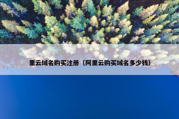里云域名购买注册（阿里云购买域名多少钱）