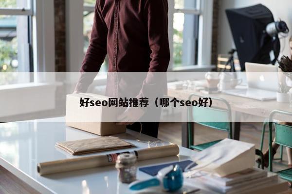 好seo网站推荐（哪个seo好）