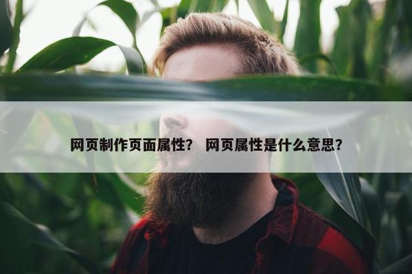 网页制作页面属性？ 网页属性是什么意思？