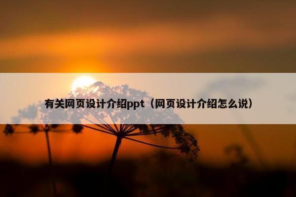 有关网页设计介绍ppt（网页设计介绍怎么说）