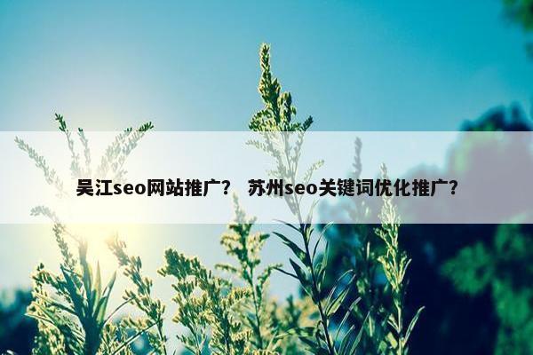 吴江seo网站推广？ 苏州seo关键词优化推广？