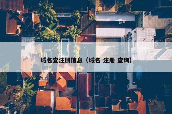 域名查注册信息（域名 注册 查询）