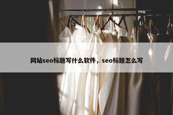 网站seo标题写什么软件，seo标题怎么写