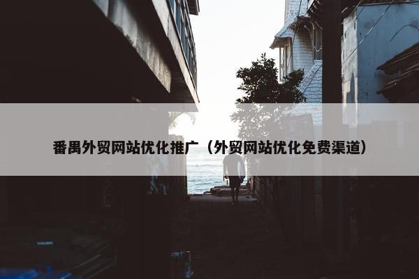 番禺外贸网站优化推广（外贸网站优化免费渠道）
