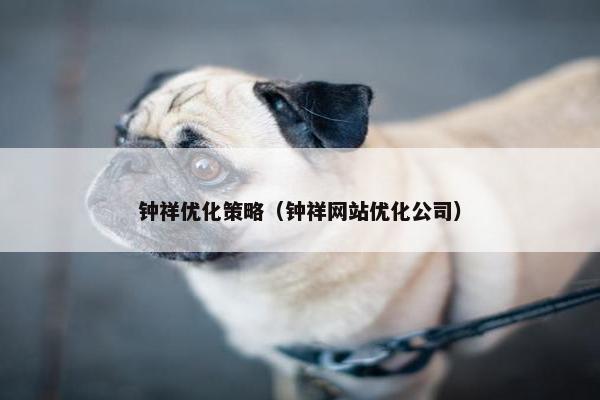 钟祥优化策略（钟祥网站优化公司）