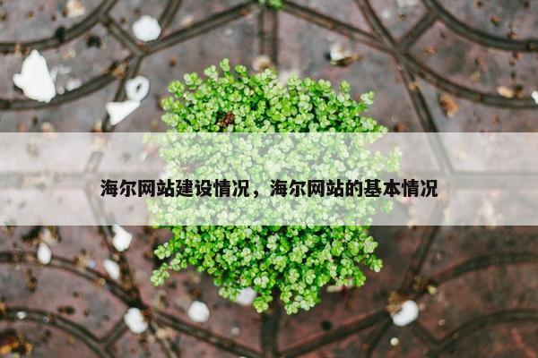 海尔网站建设情况，海尔网站的基本情况
