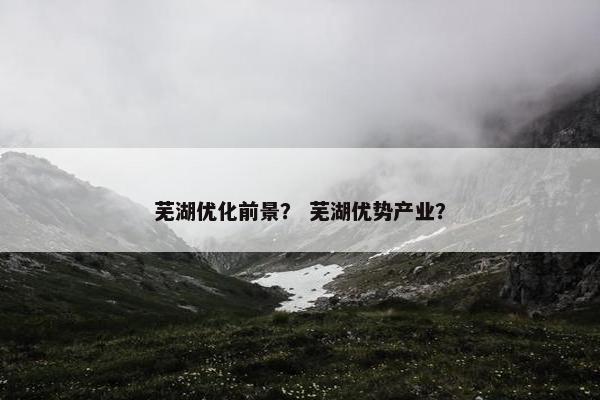 芜湖优化前景？ 芜湖优势产业？