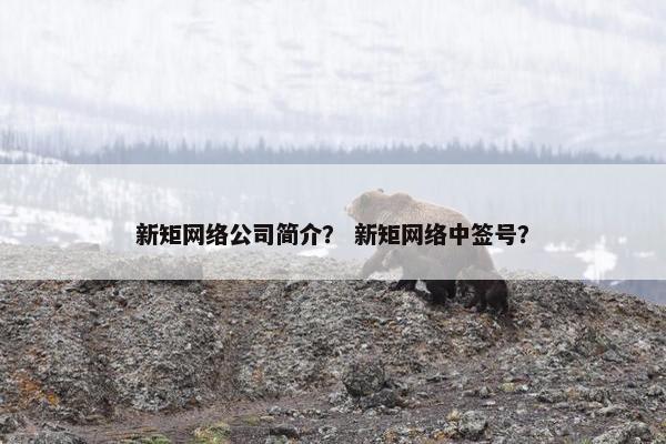 新矩网络公司简介？ 新矩网络中签号？