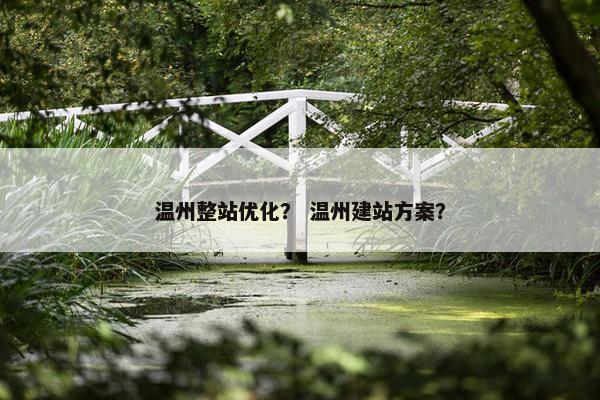 温州整站优化？ 温州建站方案？