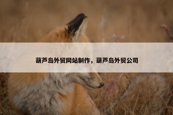 葫芦岛外贸网站制作，葫芦岛外贸公司