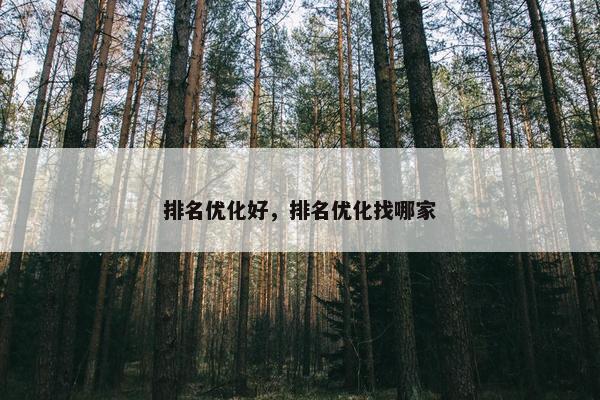 排名优化好，排名优化找哪家