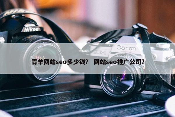 青羊网站seo多少钱？ 网站seo推广公司？