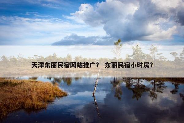 天津东丽民宿网站推广？ 东丽民宿小时房？