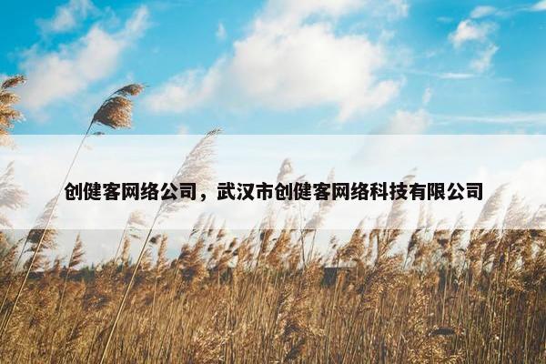 创健客网络公司，武汉市创健客网络科技有限公司