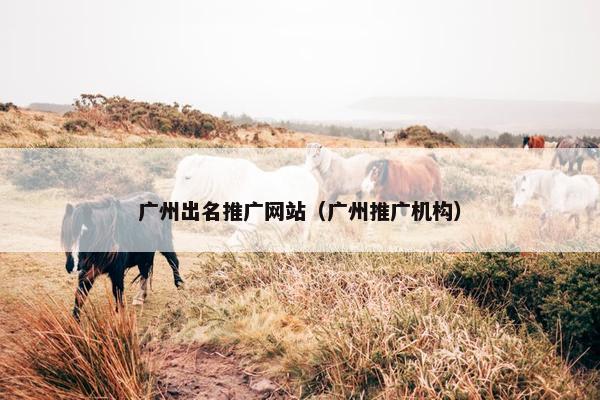 广州出名推广网站（广州推广机构）