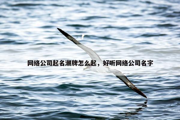 网络公司起名潮牌怎么起，好听网络公司名字