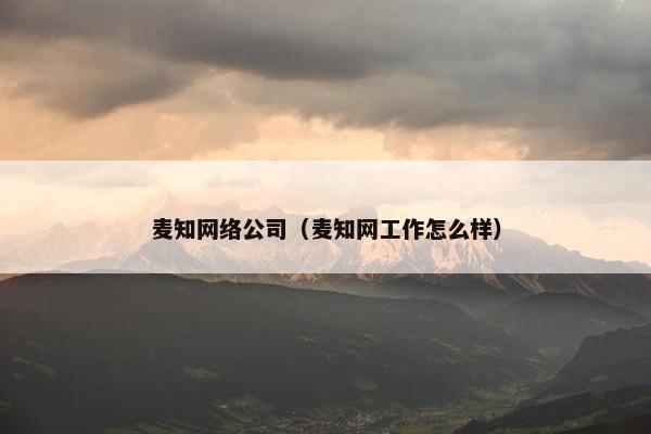 麦知网络公司（麦知网工作怎么样）