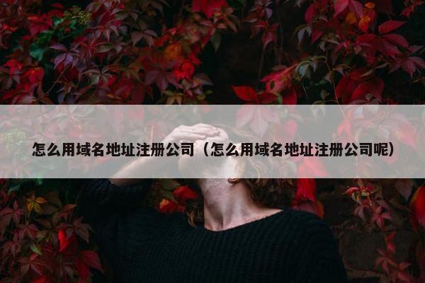 怎么用域名地址注册公司（怎么用域名地址注册公司呢）
