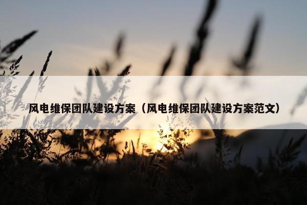 风电维保团队建设方案（风电维保团队建设方案范文）