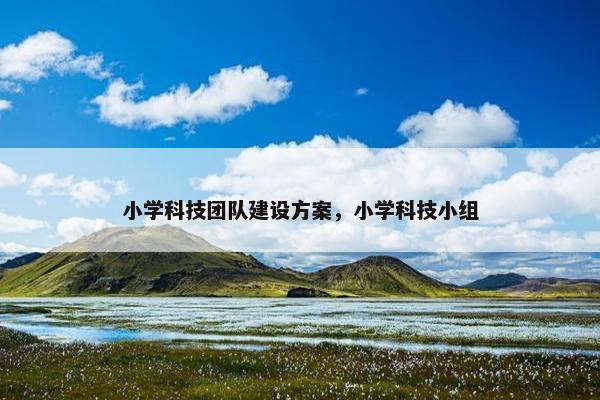 小学科技团队建设方案，小学科技小组