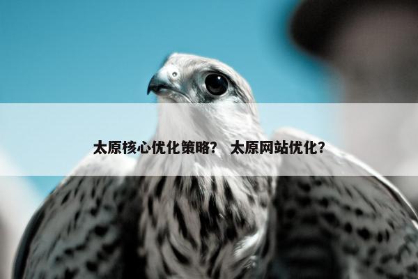 太原核心优化策略？ 太原网站优化？