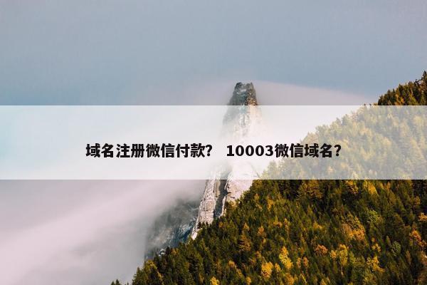 域名注册微信付款？ 10003微信域名？