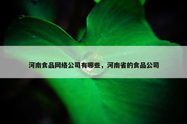 河南食品网络公司有哪些，河南省的食品公司
