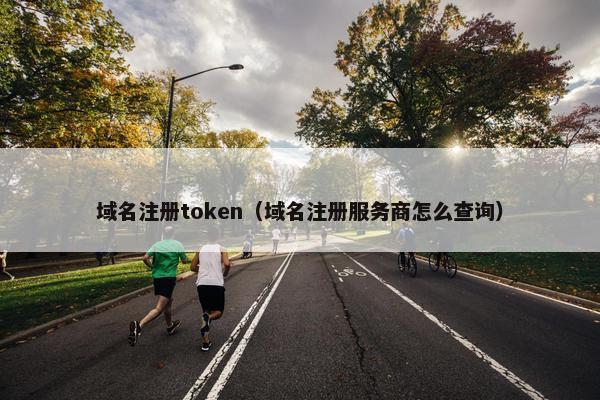 域名注册token（域名注册服务商怎么查询）