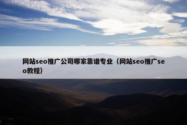 网站seo推广公司哪家靠谱专业（网站seo推广seo教程）