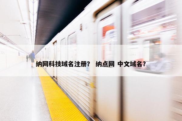 纳网科技域名注册？ 纳点网 中文域名？