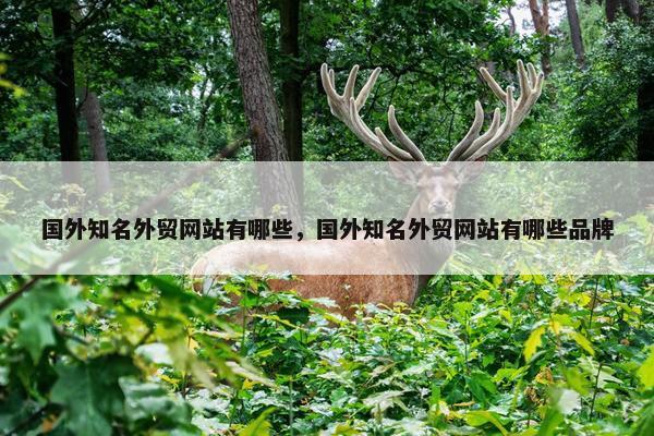国外知名外贸网站有哪些，国外知名外贸网站有哪些品牌