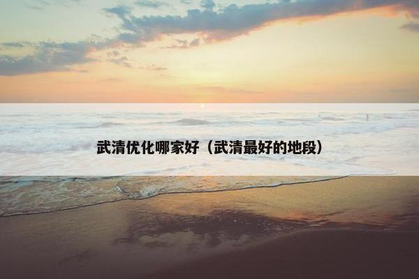 武清优化哪家好（武清最好的地段）