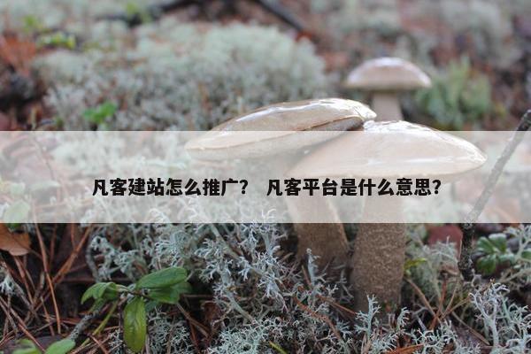 凡客建站怎么推广？ 凡客平台是什么意思？