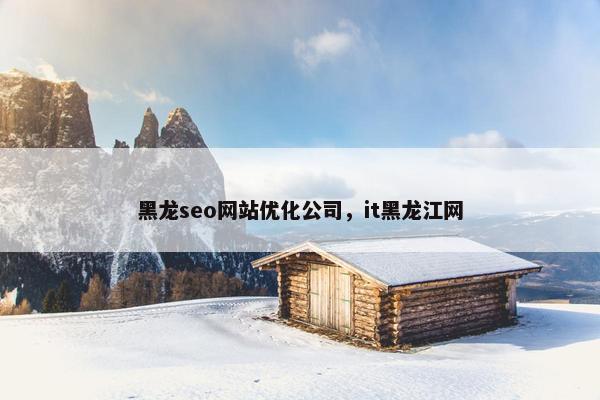 黑龙seo网站优化公司，it黑龙江网