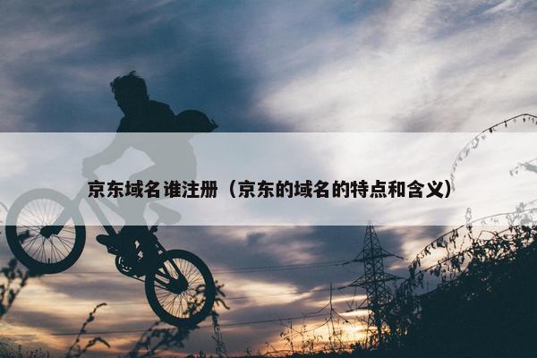 京东域名谁注册（京东的域名的特点和含义）