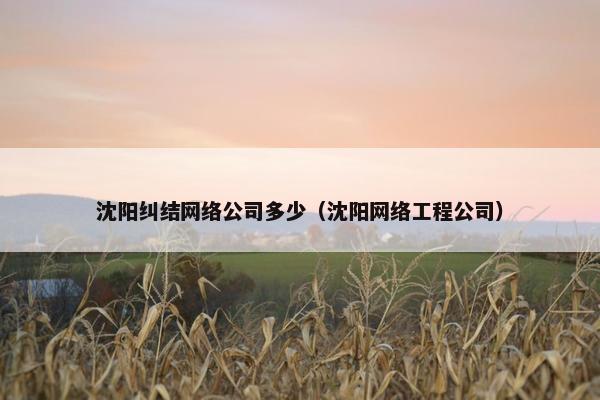 沈阳纠结网络公司多少（沈阳网络工程公司）