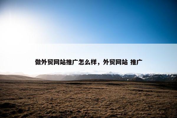 做外贸网站推广怎么样，外贸网站 推广