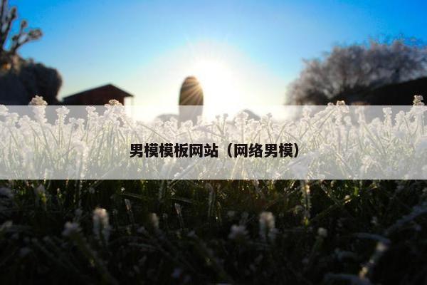 男模模板网站（网络男模）