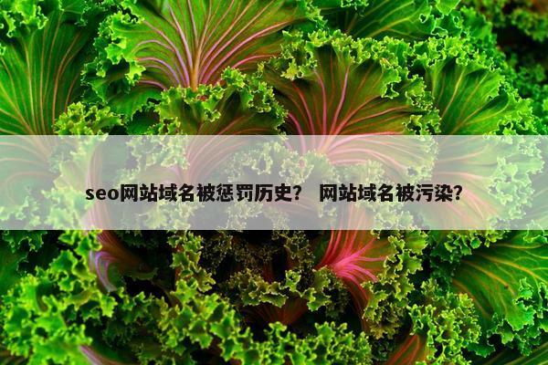 seo网站域名被惩罚历史？ 网站域名被污染？
