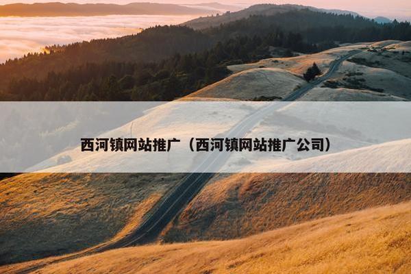 西河镇网站推广（西河镇网站推广公司）