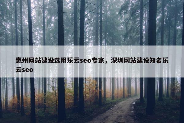 惠州网站建设选用乐云seo专家，深圳网站建设知名乐云seo